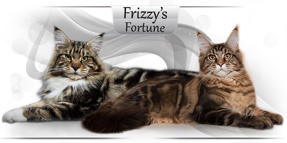 Frizzy's Fortune