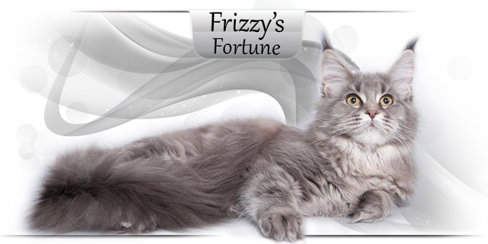 Frizzy's Fortune